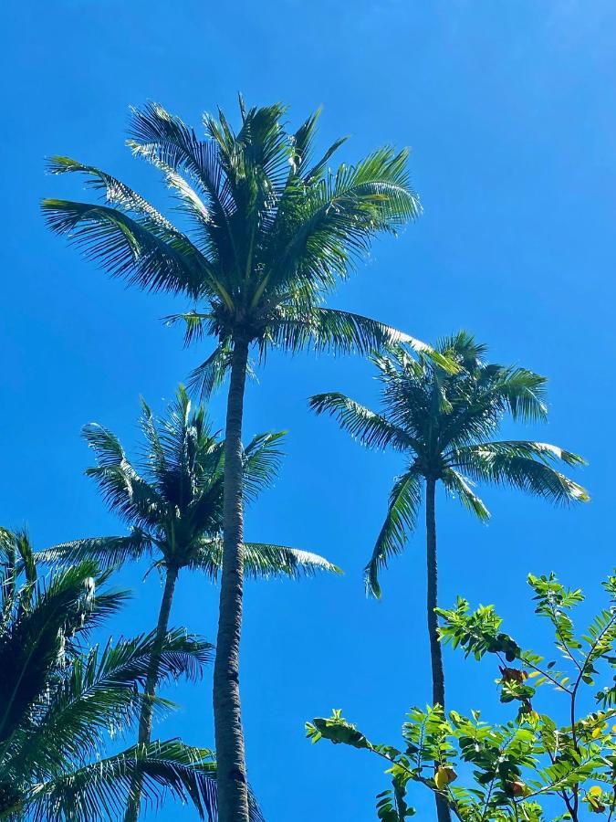 ホテル Playa La Caleta Bataan モロン エクステリア 写真